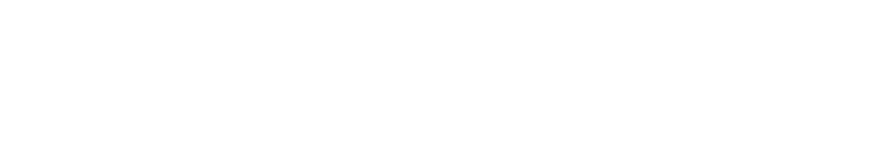 NDX_Logo_CMYK WHITE